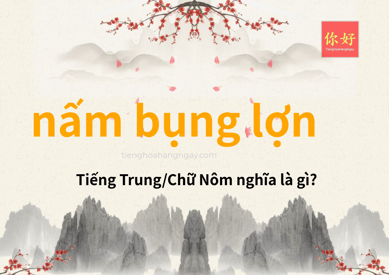 nấm bụng lợn tiếng Trung là gì?